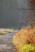 podzimní Královec 073.jpg