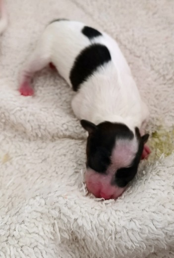 1fd95d12-6565-41a7-9b2e-2d60d0332095 (1).jpg