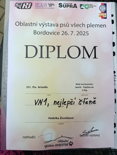 524444977_24385132034456320_1762754230330003488_n.jpg