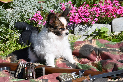 DSC_0626.JPG