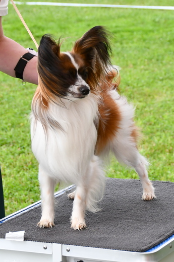 DSC_1518.JPG