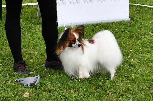 DSC_1567.JPG