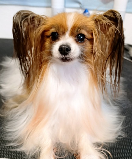 fd2adc38-9c1f-4c1e-a69b-7c1737e8313e.jpg