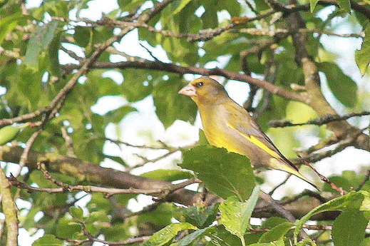 IMG_3561.JPG