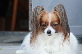 IMG_1787.JPG